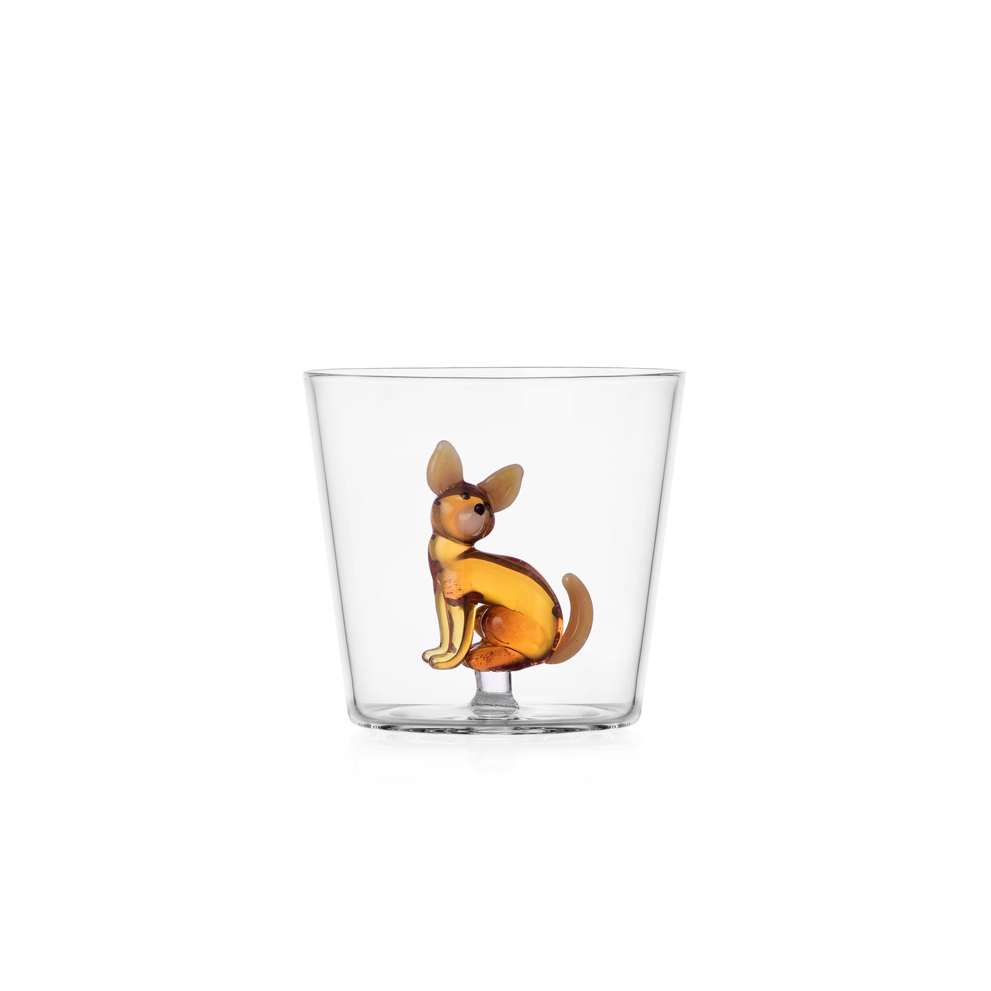 Dogs - Chihuahua