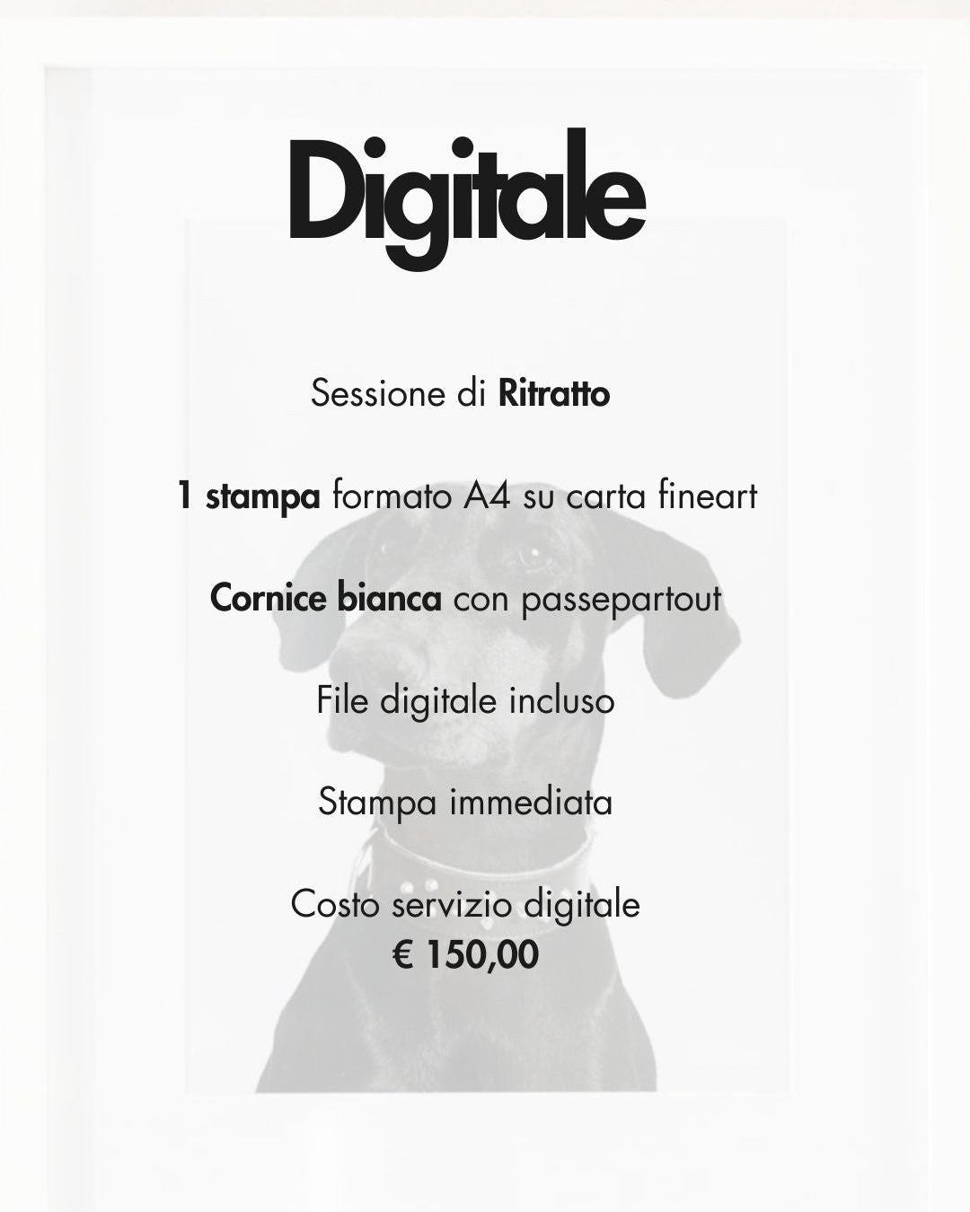 RITRATTO A CONTATTO
