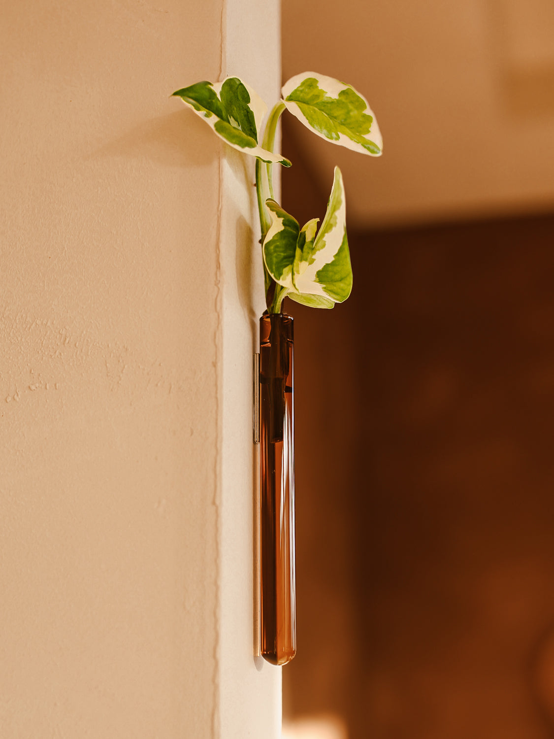Ampollina in vetro singola - Ambra