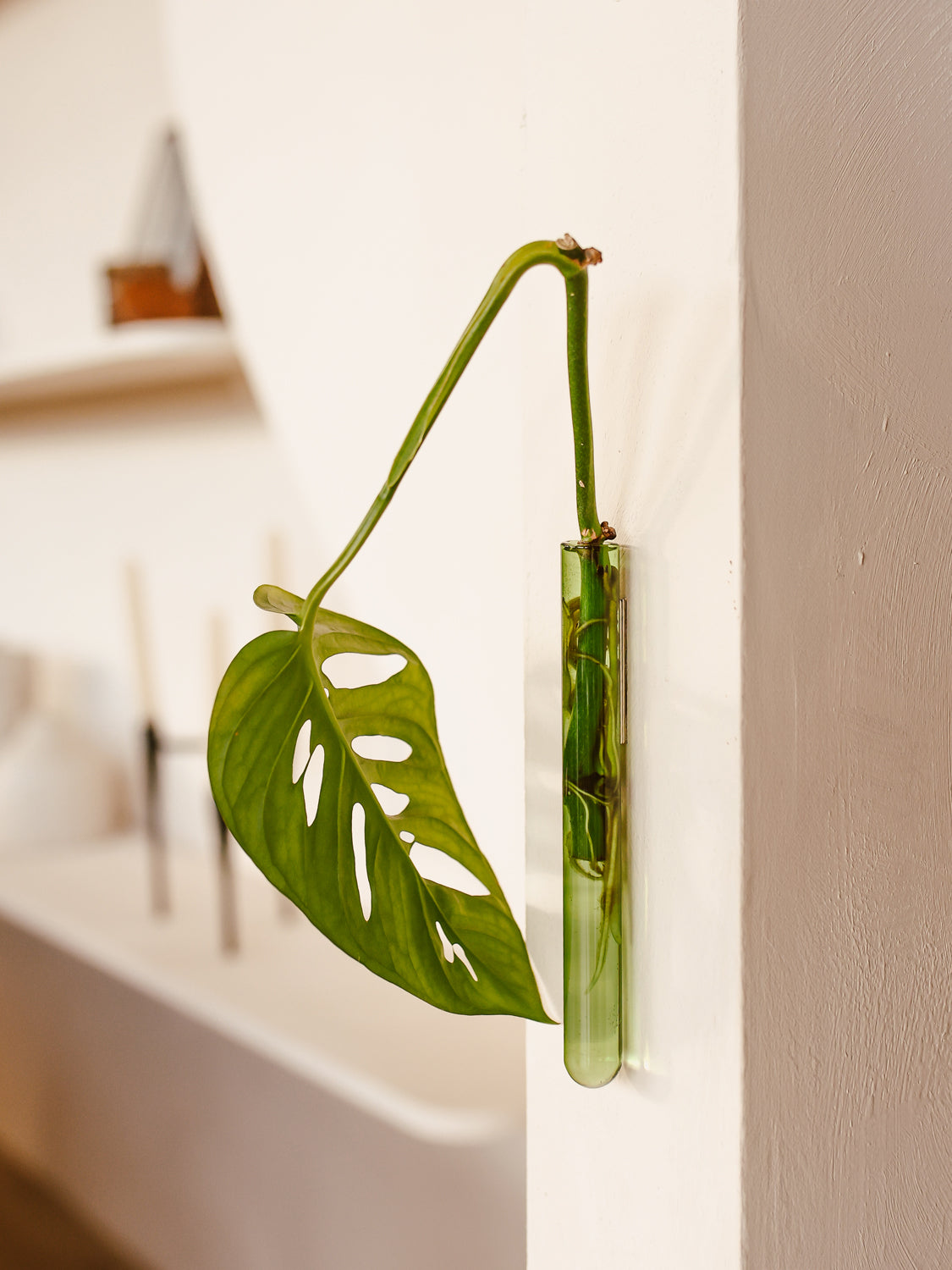 Ampollina in vetro singola - Verde
