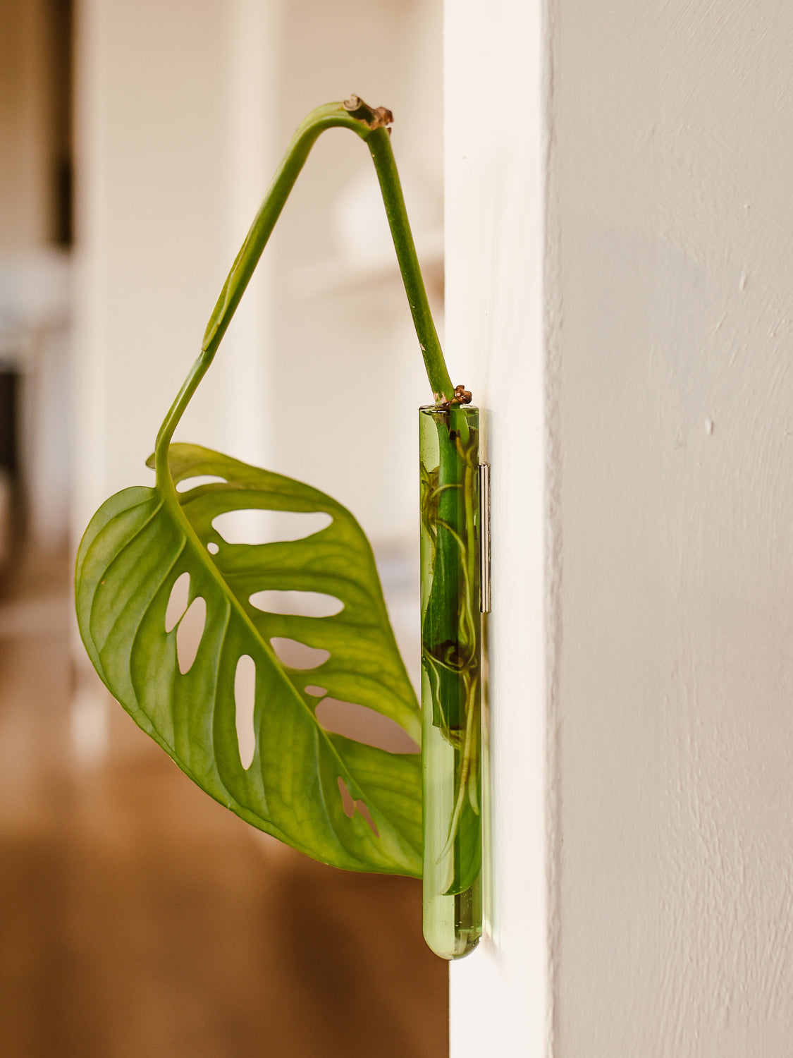 Ampollina in vetro singola - Verde