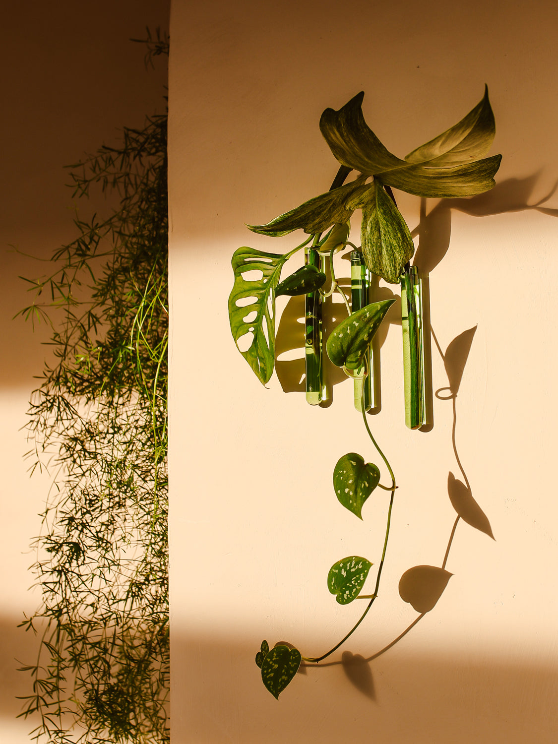 Ampollina in vetro Pack da 3 - Verde