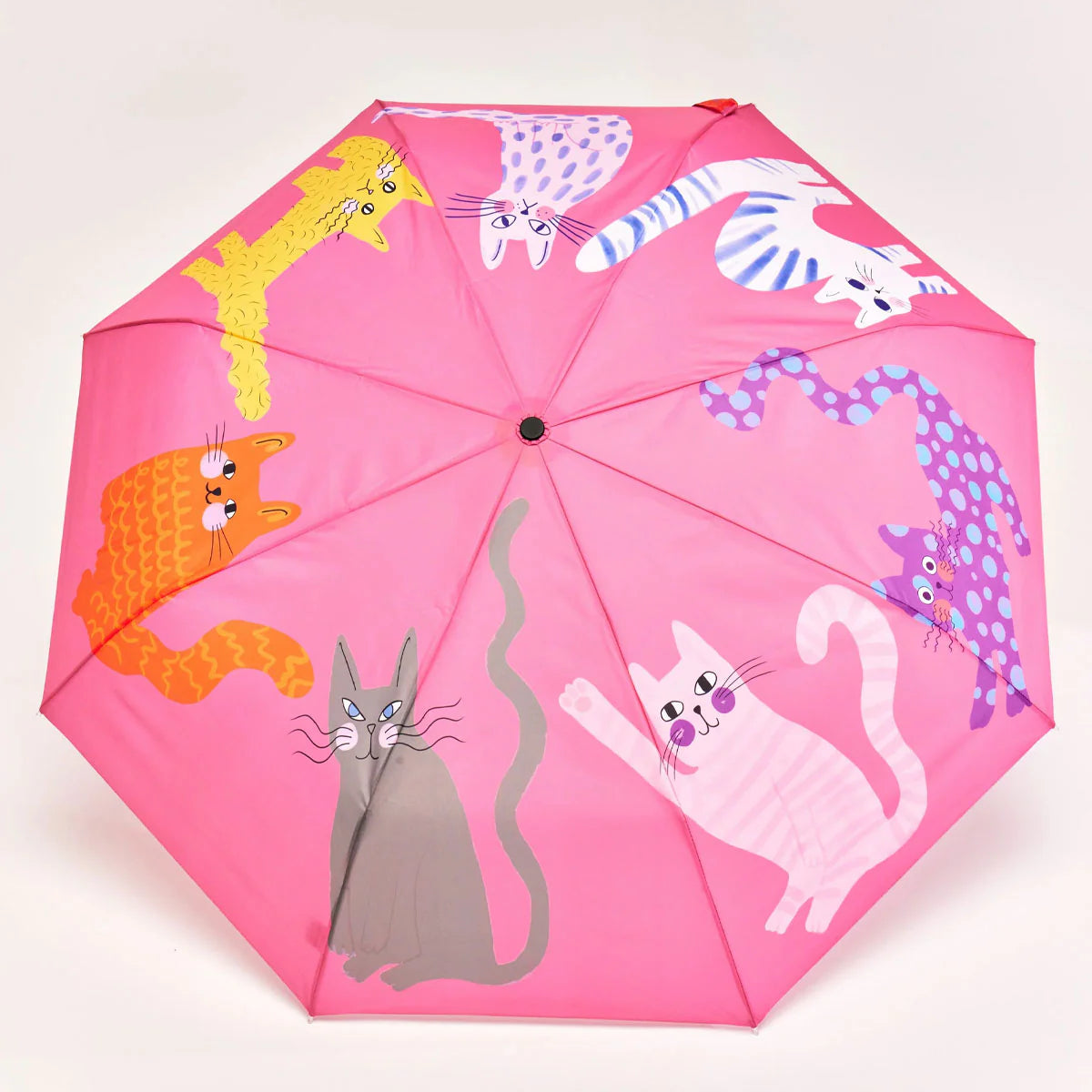 Original Duckhead - Fuchsia Arty Cats