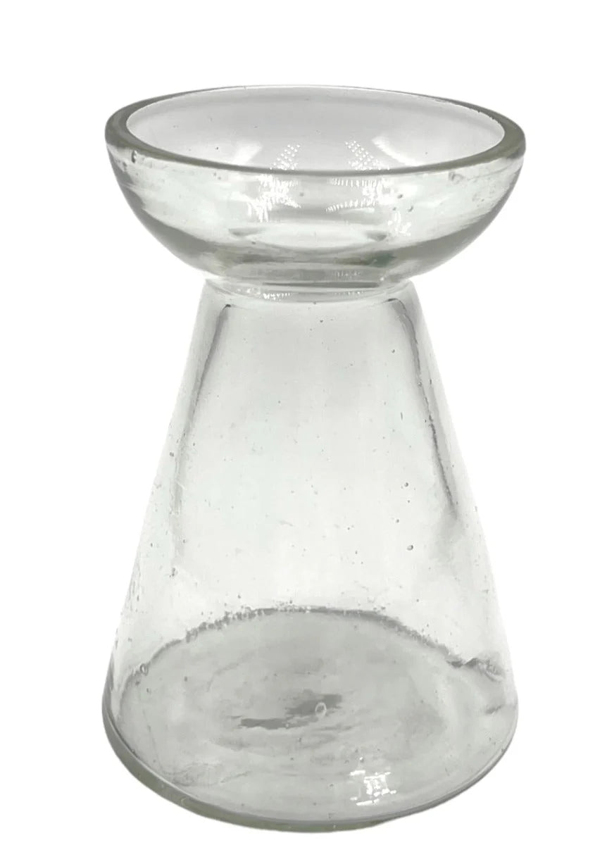 Vaso Germogliatore in vetro - Trasparente